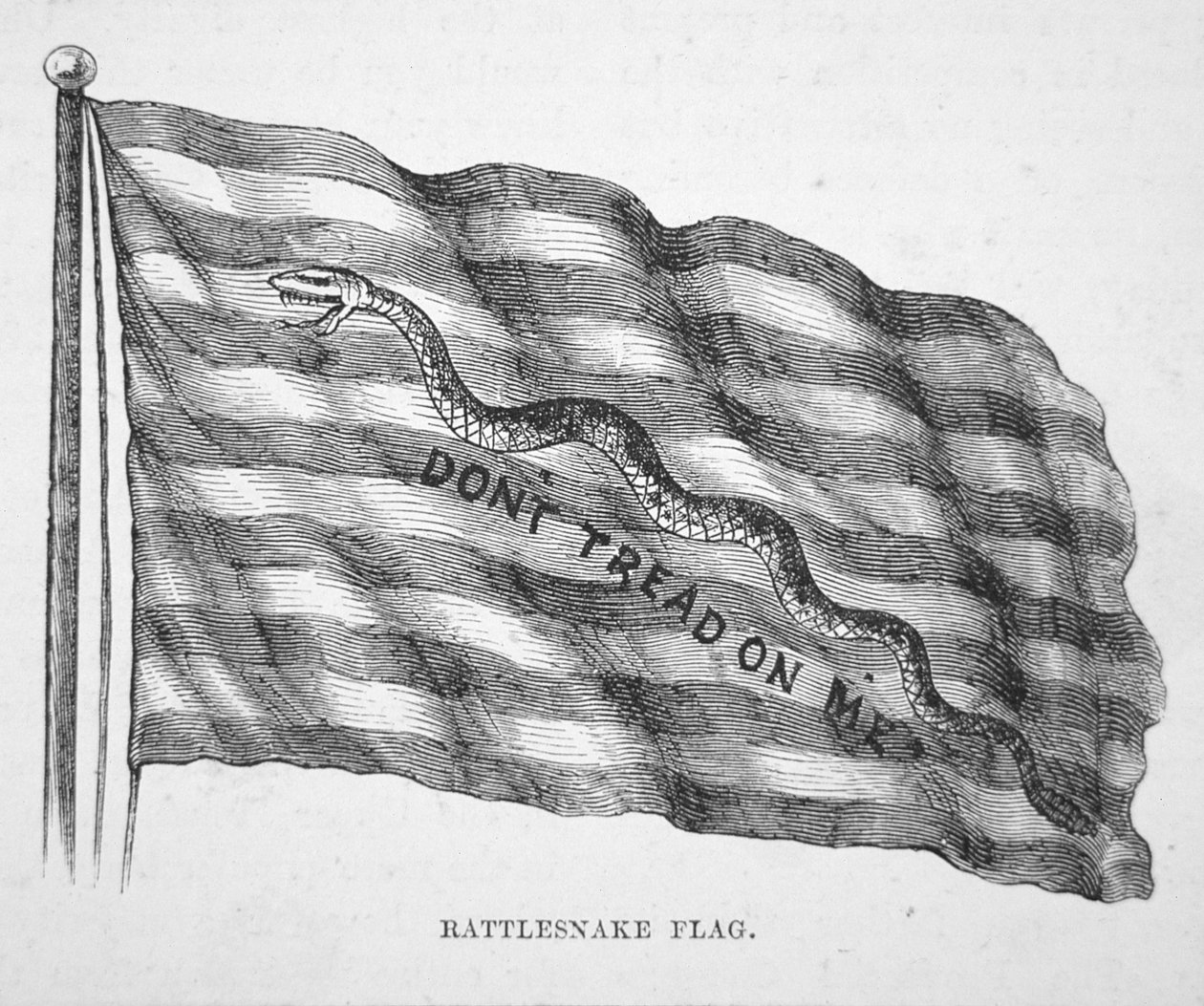 The American naval flag, as flown by John Paul Jones (litho) بواسطة المدرسة الأمريكية