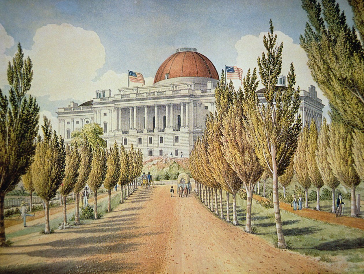 View of the Capitol (colour litho) بواسطة المدرسة الأمريكية
