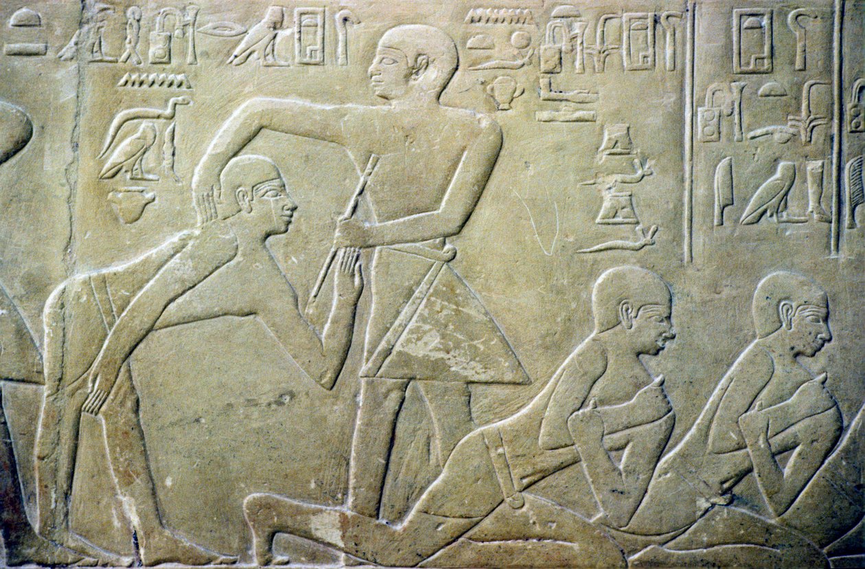  بواسطة المدرسة المصرية