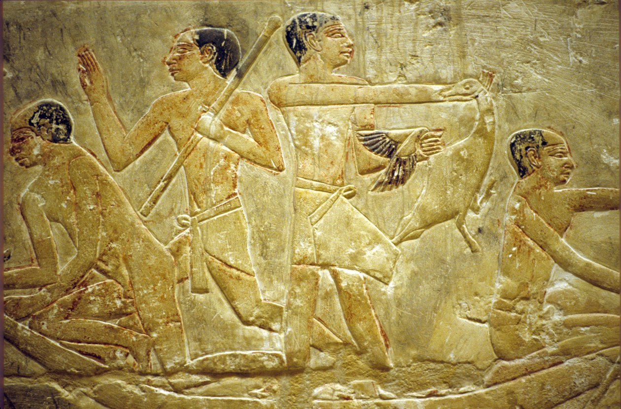  بواسطة المدرسة المصرية