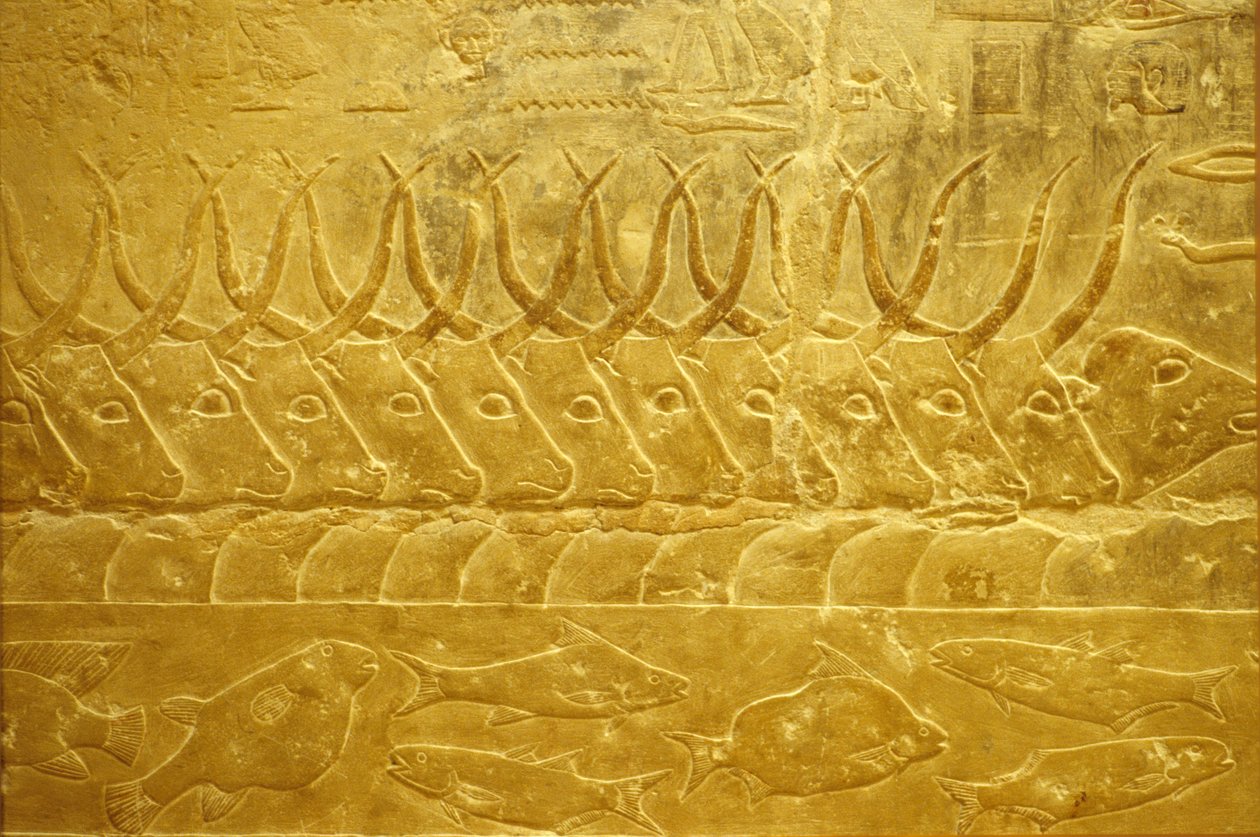  بواسطة المدرسة المصرية