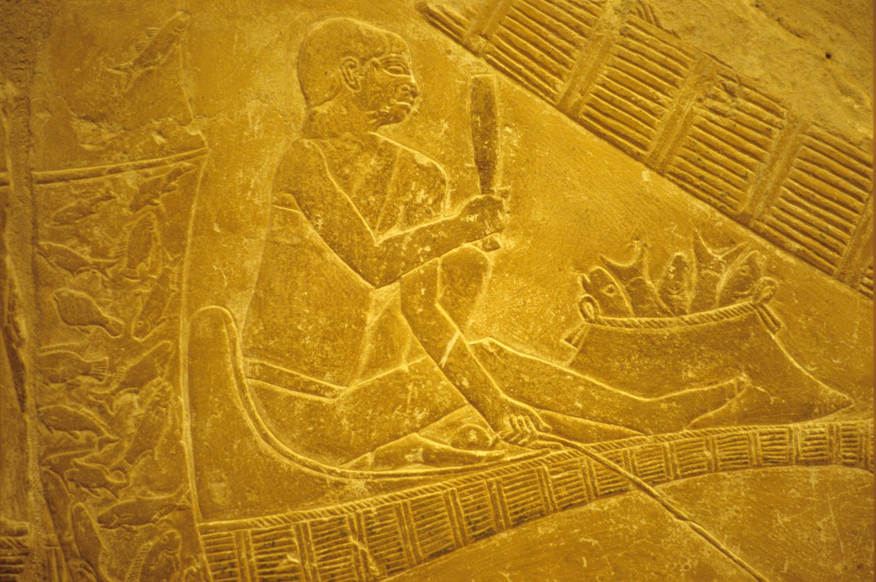 مصر القديمة، نحت/رسم على الحائط، المصطبة/مقبرة إيدوت، سقارة، صيادون يجلسون على قوارب يصطادون الأسماك، الأسرة السادسة (صورة) بواسطة المدرسة المصرية
