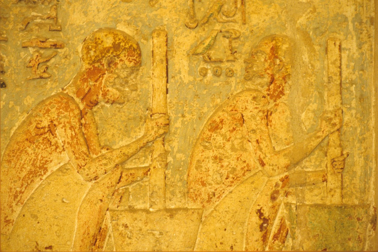  بواسطة المدرسة المصرية