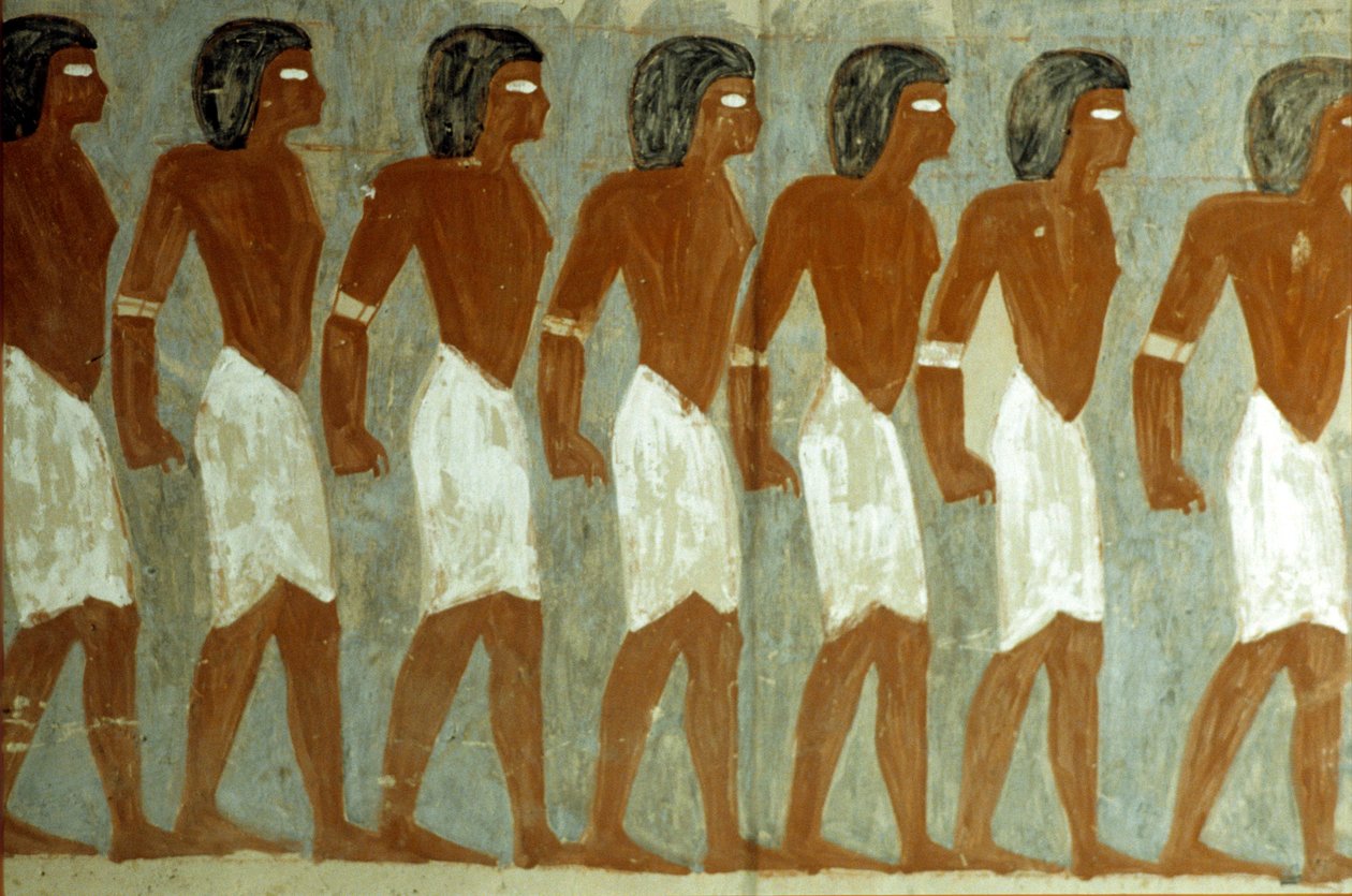  بواسطة المدرسة المصرية