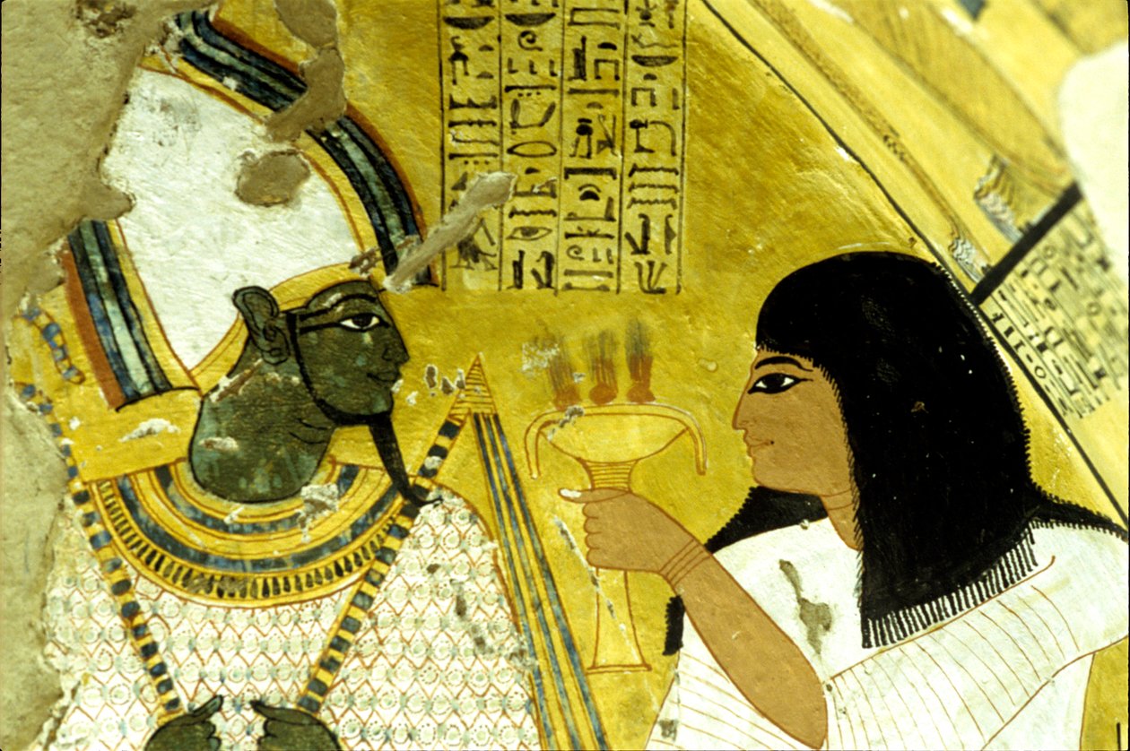  بواسطة المدرسة المصرية