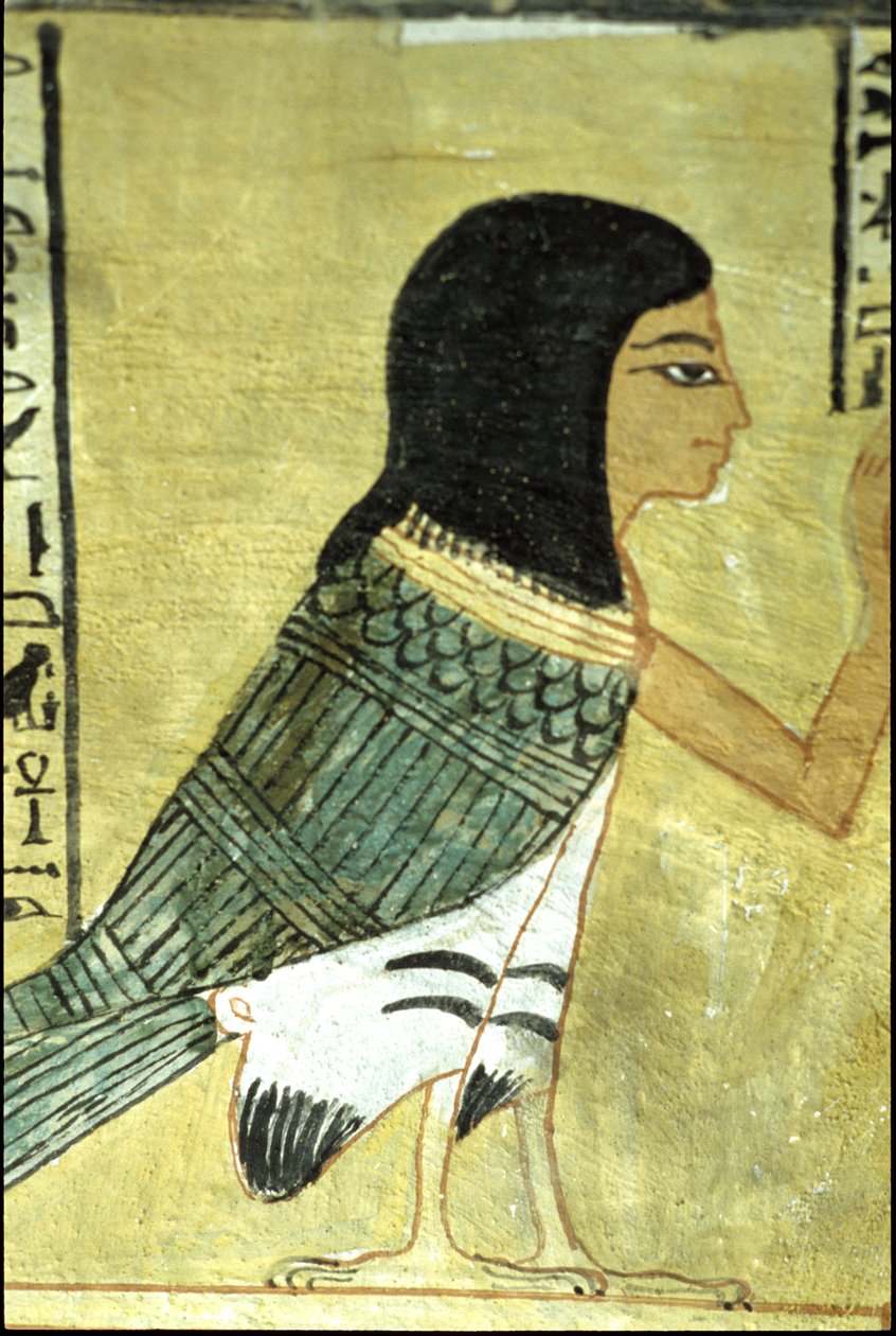  بواسطة المدرسة المصرية