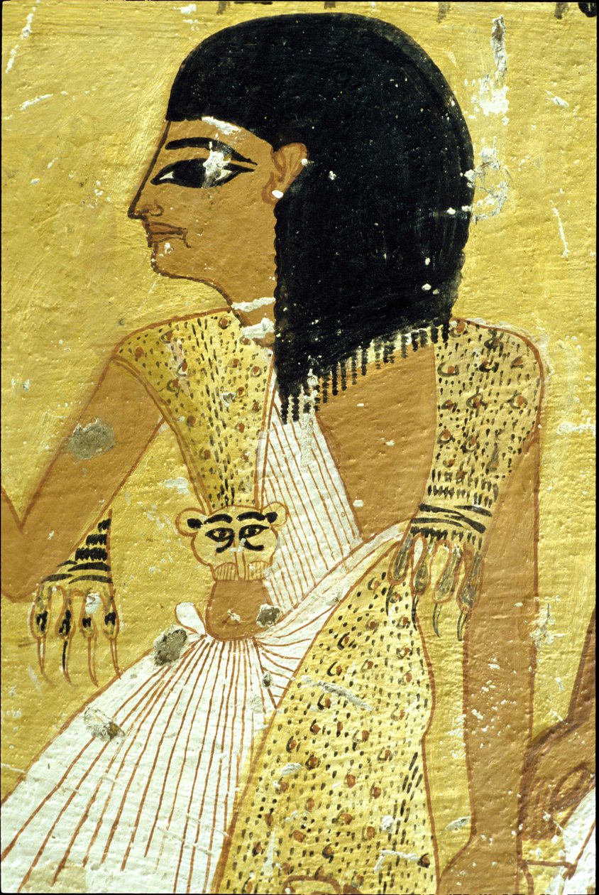  بواسطة المدرسة المصرية
