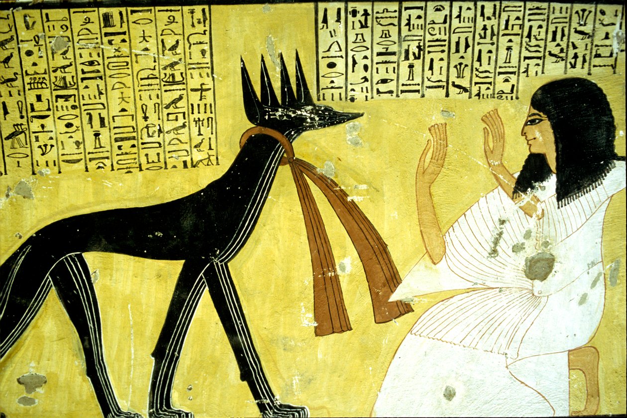  بواسطة المدرسة المصرية