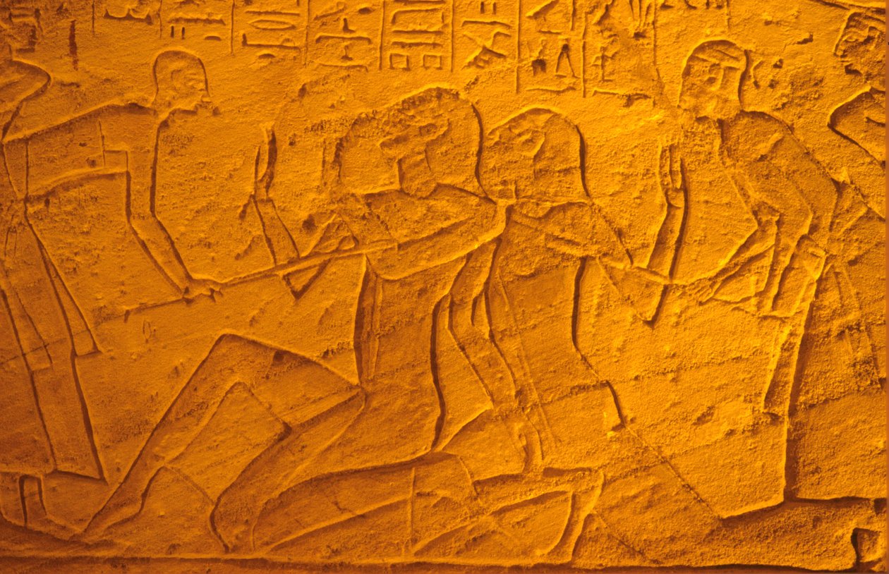  بواسطة المدرسة المصرية