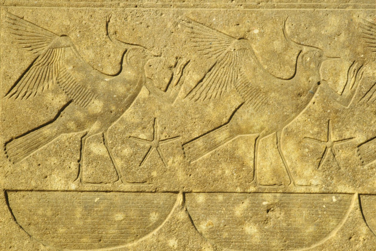  بواسطة المدرسة المصرية