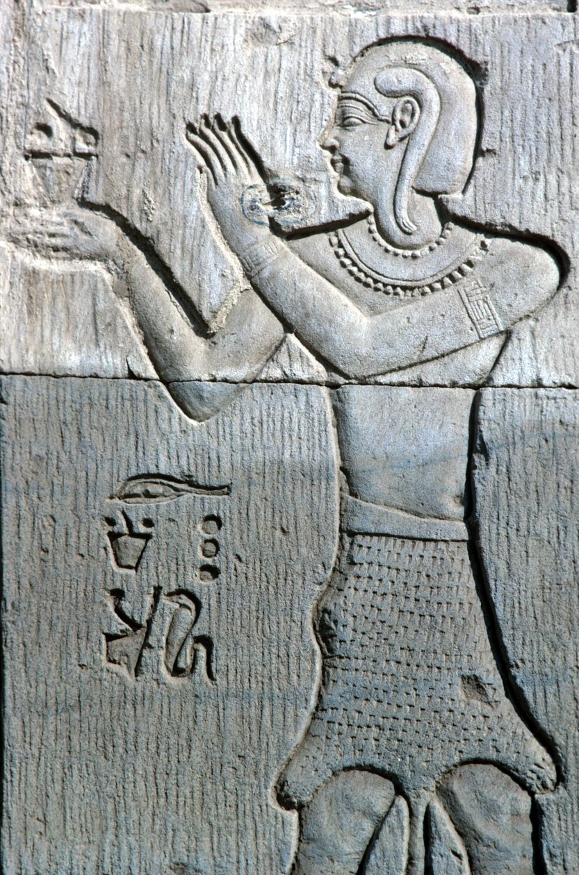 مصر القديمة، الرسم على الجدران/النحت، كاهن يرتدي جلد النمر ويقدم البخور، معبد سيبك وحورس كوم أمبو (صورة) بواسطة المدرسة المصرية