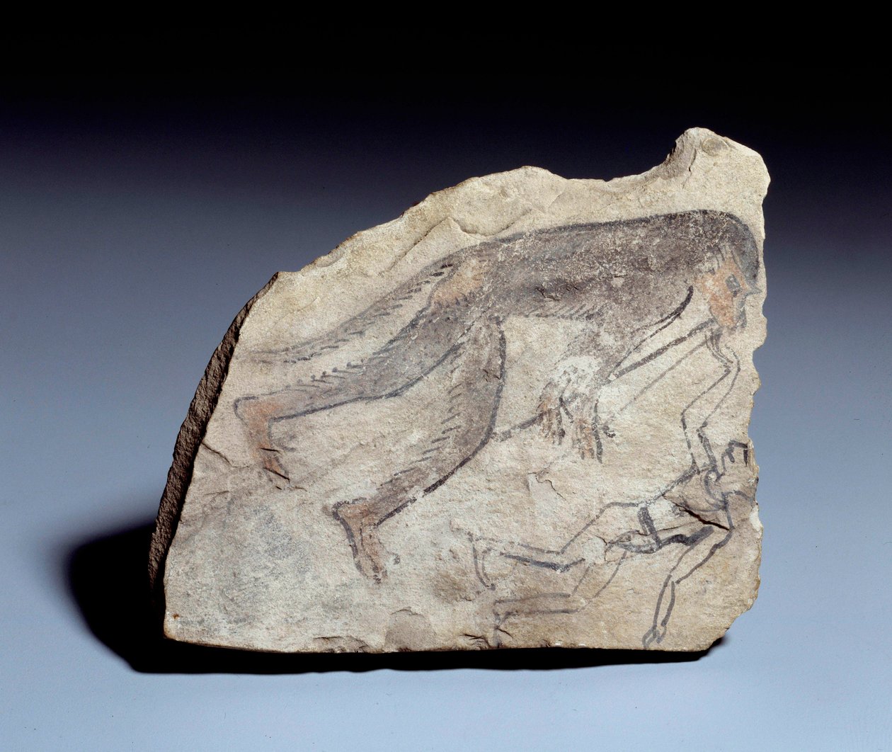 الأنتيكيت المصري: ostrakon (أو ostracon) (الجمع: ostraca أو ostraka) (الفخار) الشكل: قرد يعزف على الفلوت المزدوج (aulos) ليجعل الرجل يرقص. حجر في الحجر الجيري. الأسرة التاسعة عشر (حوالي 1295-1186). من موقع دير المدينه (المدينة). الأحد 0،14 × 0.1 بواسطة المدرسة المصرية