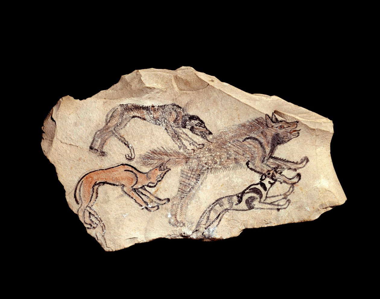 الأنتيكيت المصري: ostrakon (أو ostracon) (الجمع: ostraca أو ostraka) (الفخار) في الحجر الجيري يمثل ثلاثة كلاب تصطاد الضبع. 1300-1070 ق. الشمس. 0،15 × 0،08 م من دير المدينة. باريس ، متحف اللوفر بواسطة المدرسة المصرية