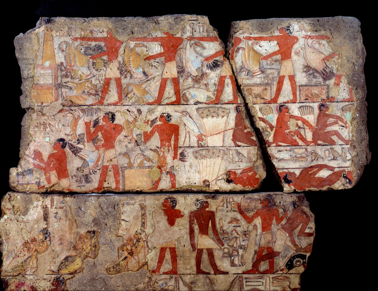 الأنتيكيت المصري: رسم مصطبة ميتشيتشي. مشهد من الحياة اليومية (صيد ، صيد ، عرض) في مصر في زمن الأسرة السادسة. 2400 - 2300 ق. من موقع سقارة (سقارة) بواسطة المدرسة المصرية