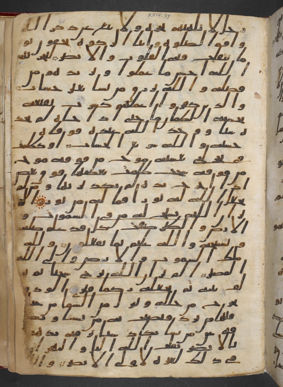  بواسطة المدرسة المصرية
