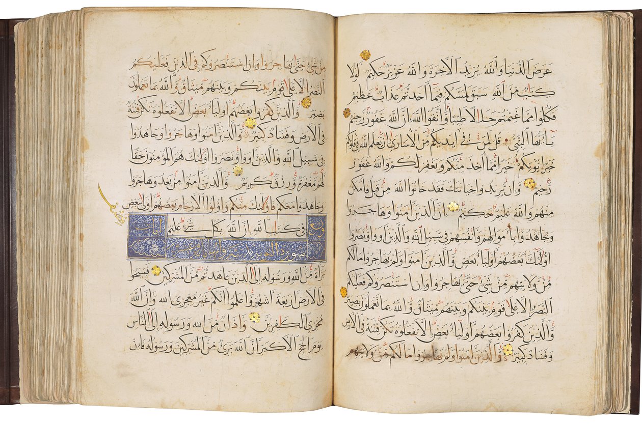  بواسطة المدرسة المصرية