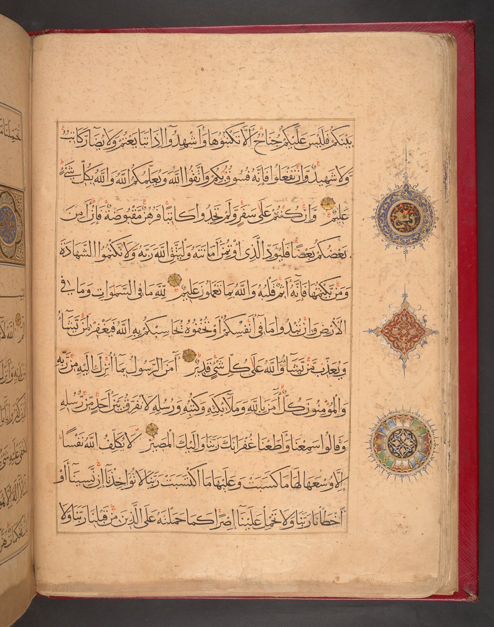  بواسطة المدرسة المصرية