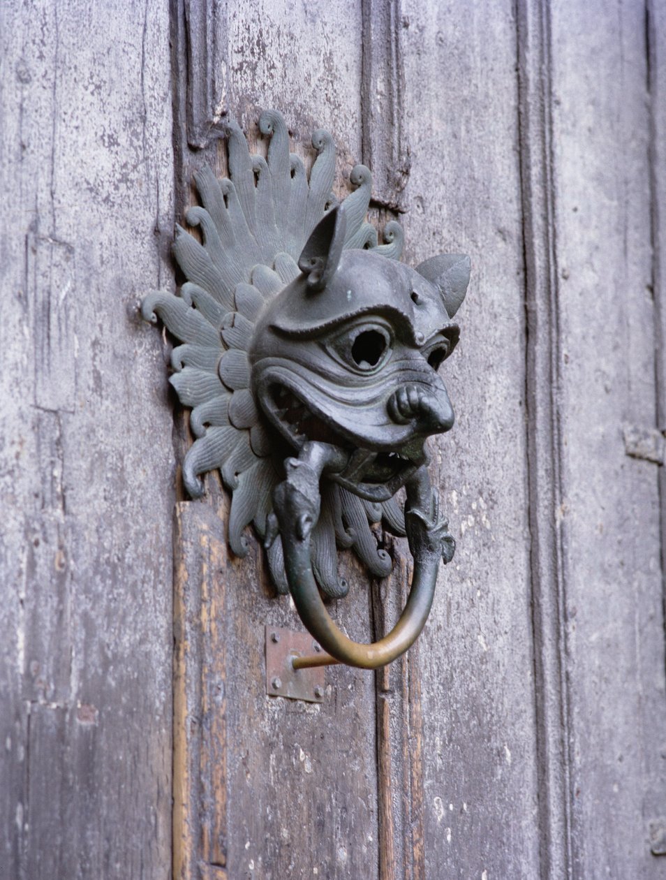 كاتدرائية دورهام ، Knocker ، نسخة أصلية من البرونز من القرن الثاني عشر (صورة) بواسطة مدرسة اللغة الإنجليزية