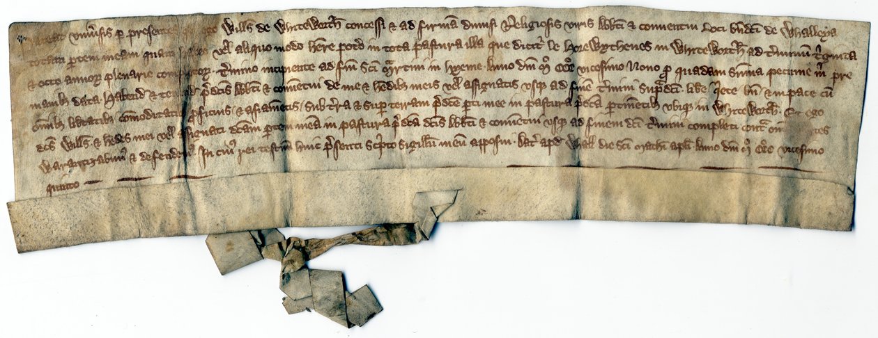 Medieval Deeds (ink on paper) بواسطة مدرسة اللغة الإنجليزية