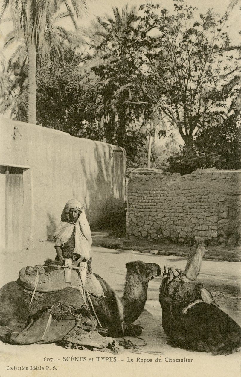 Le Repos du Chamelier، c1890-1914 (b / w photo) بواسطة المدرسة الفرنسية