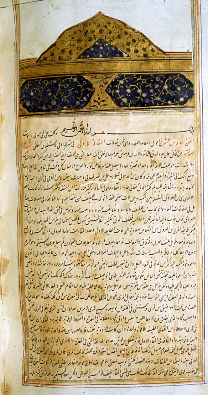صفحة من كتاب القانون في الطب لابن سينا بواسطة المدرسة الإيرانية