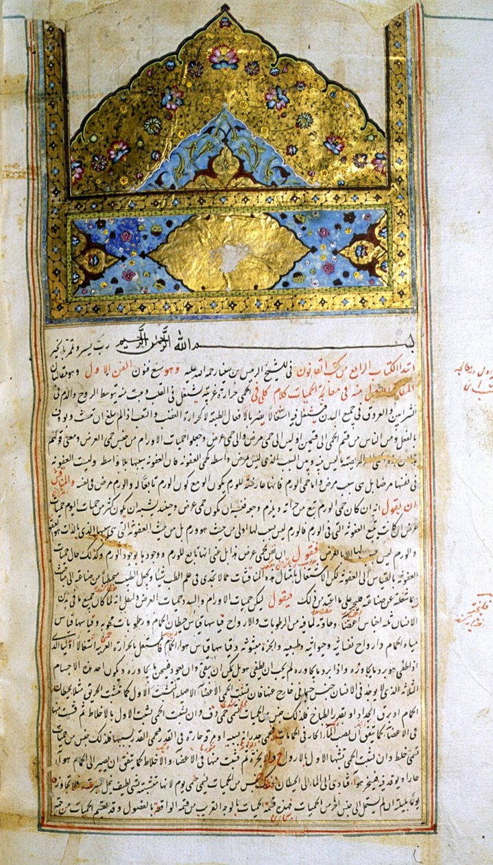 صفحة من كتاب القانون في الطب لابن سينا بواسطة المدرسة الإيرانية