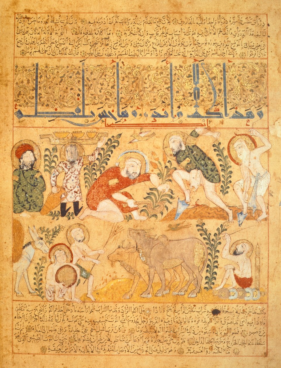 أندرومينادروس، الصيدلي، يستعرض العمل الزراعي، رسم توضيحي من كتاب "الدرياق" للترياق، بقلم غالن المزيف (رق) بواسطة المدرسة العراقية