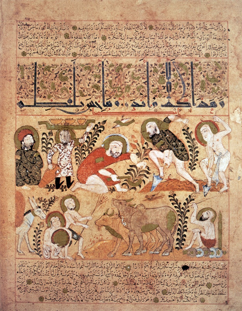 رسم إيضاحي من كتاب الترياق "كتاب الدرياق" بقلم Pseudo-Gallen (ورق الرق) بواسطة المدرسة العراقية