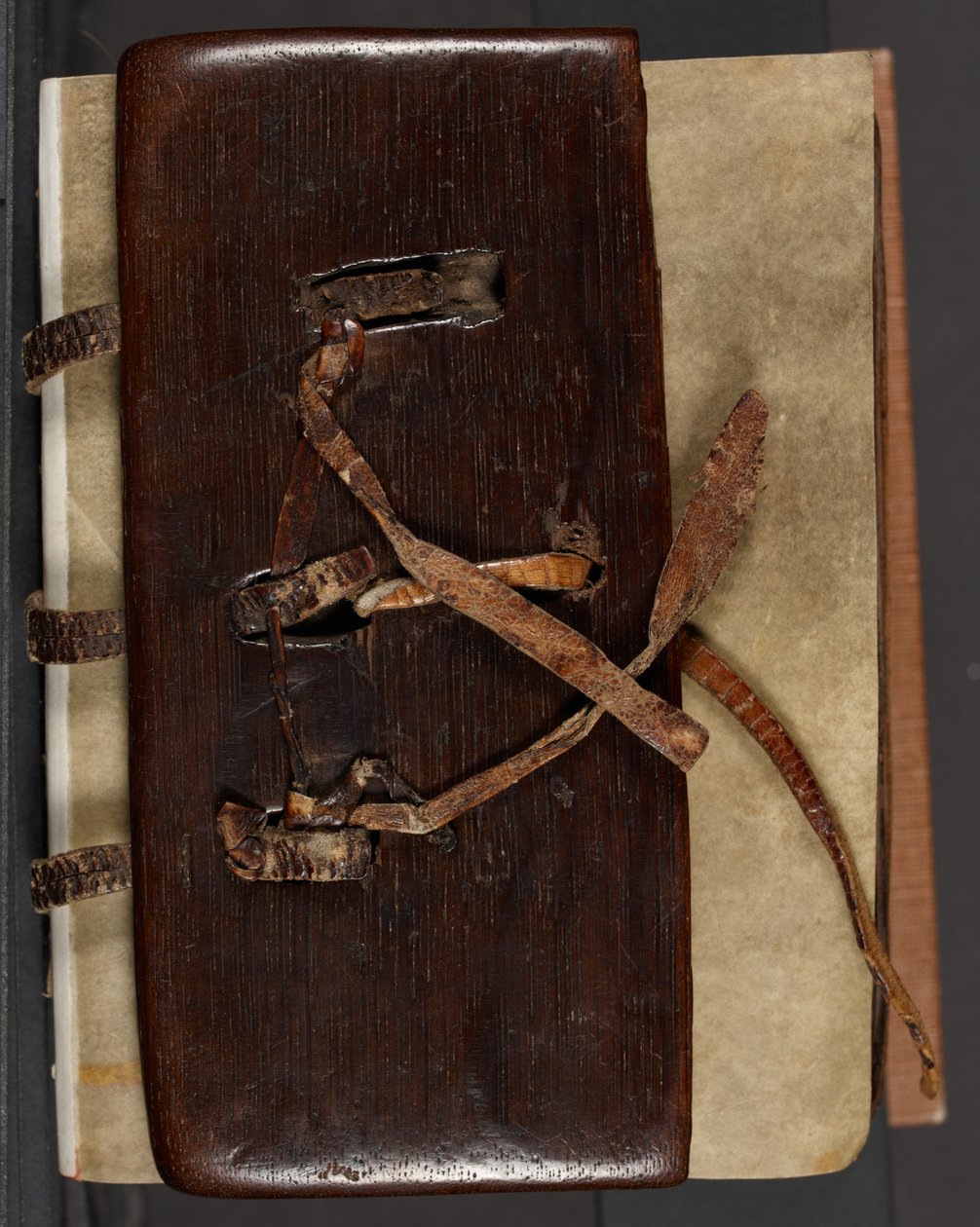 MS CCC 282 Corpus Irish Missal Book Binding ، c.1120-30 (البلوط والجلد والرق) بواسطة مدرسة الأيرلندية