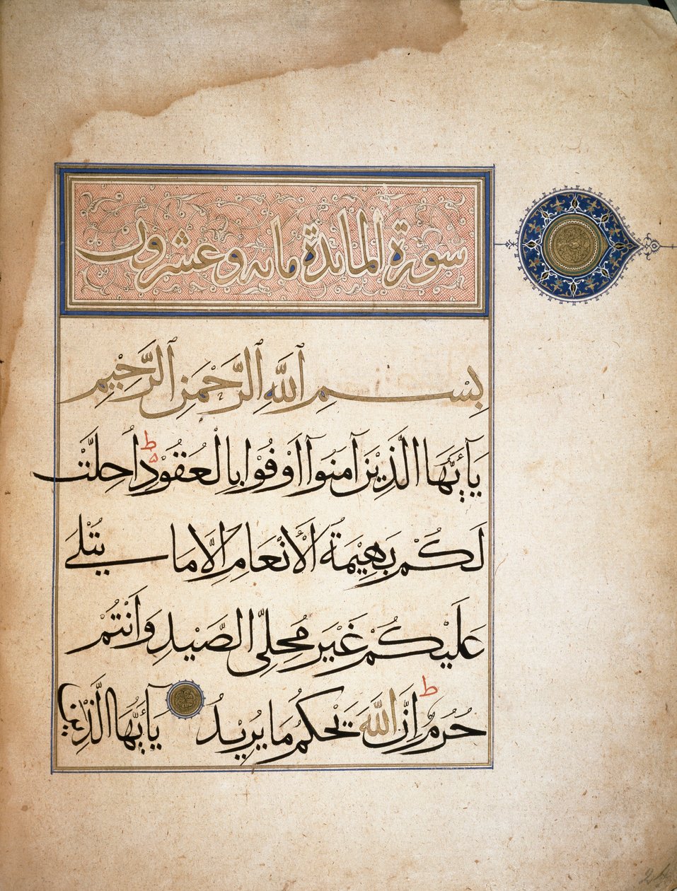 First Verses of Surah V of the Koran. Turin, Biblioteca Nazionale بواسطة المدرسة الإسلامية