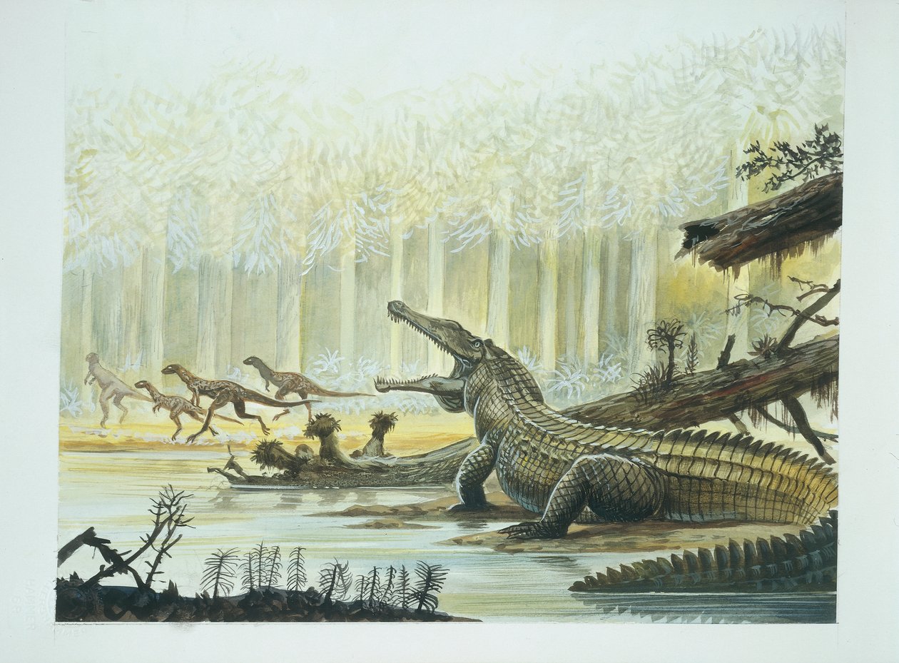 Rutiodon مع Fabrosaurus في الخلفية ، العصر الترياسي (لون ليثو) بواسطة المدرسة الايطالية