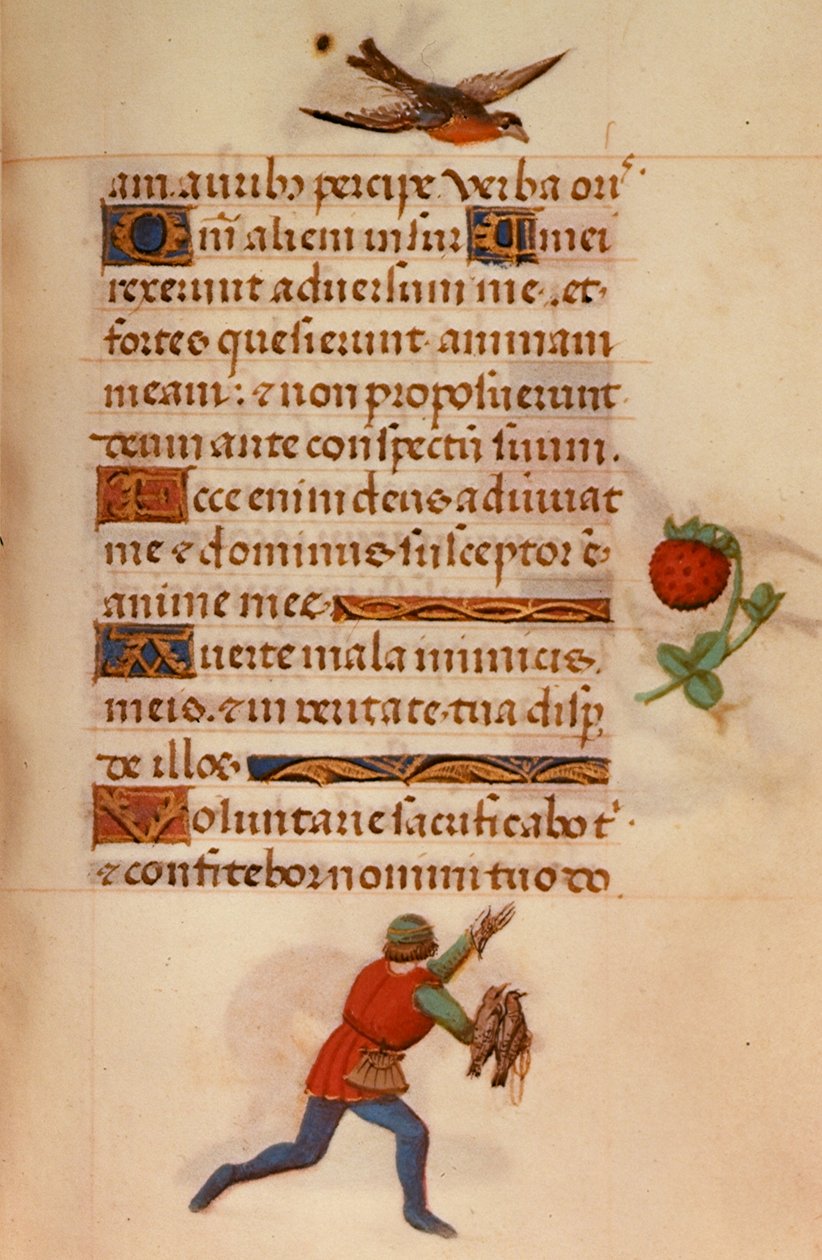 F.235 رجل مع الصقور ، من 
