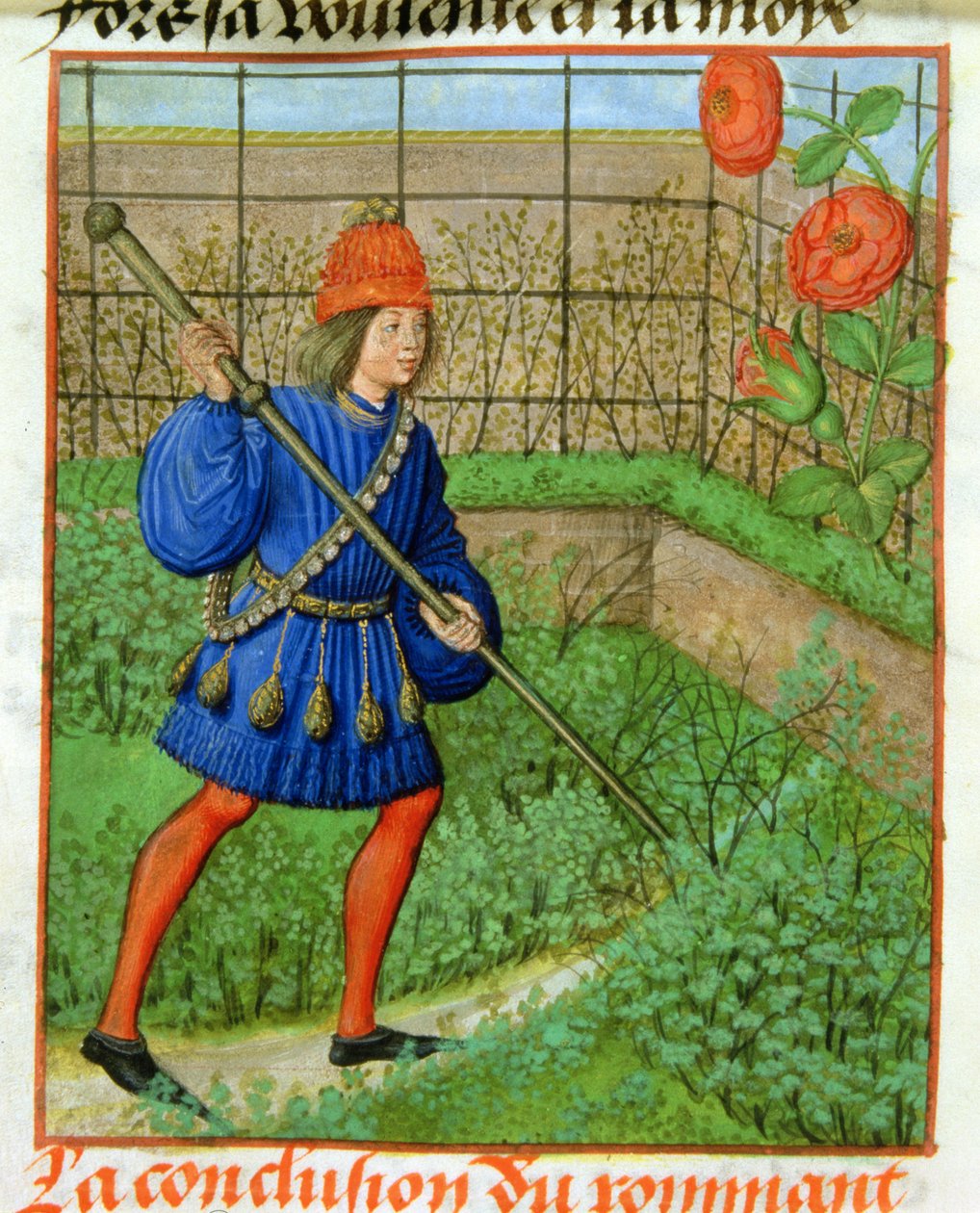 Harl 4425 f.184v يحصل الحبيب على الوردة ، من 