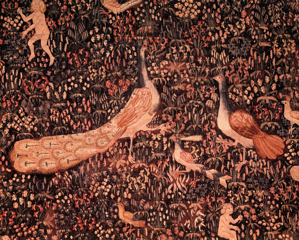 The curtain of the Seigneuriale Life: detail depicting birds, peacock. Wool and silk tapestry made around 1520 in the Netherlands. Sun 2,6x3,7 m Paris, national museum of the Middle Ages, Thermes de Cluny بواسطة مدرسة هولندا