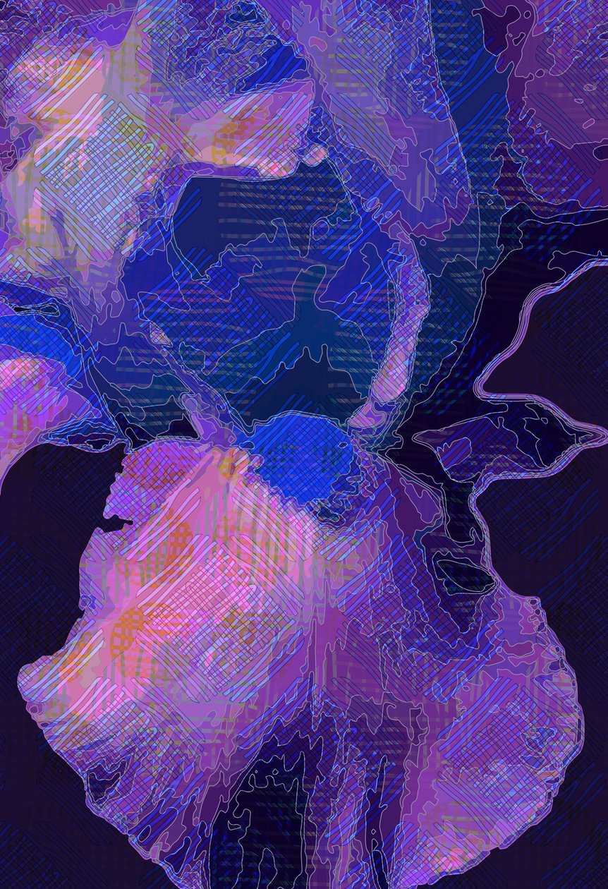 Blue Iris (رقمي) بواسطة سكوت ج.ديفيس