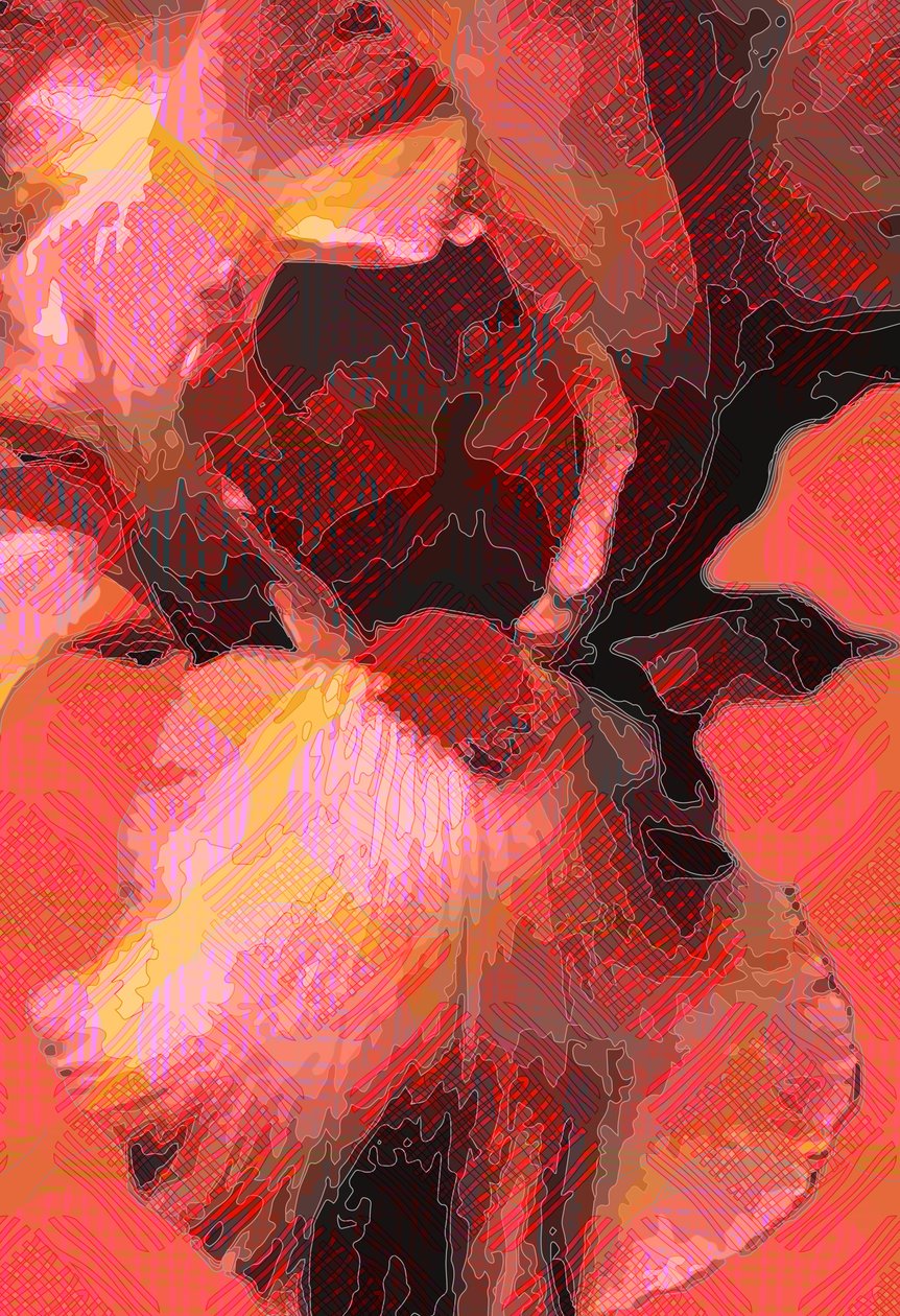 Orange Iris (رقمي) بواسطة سكوت ج.ديفيس