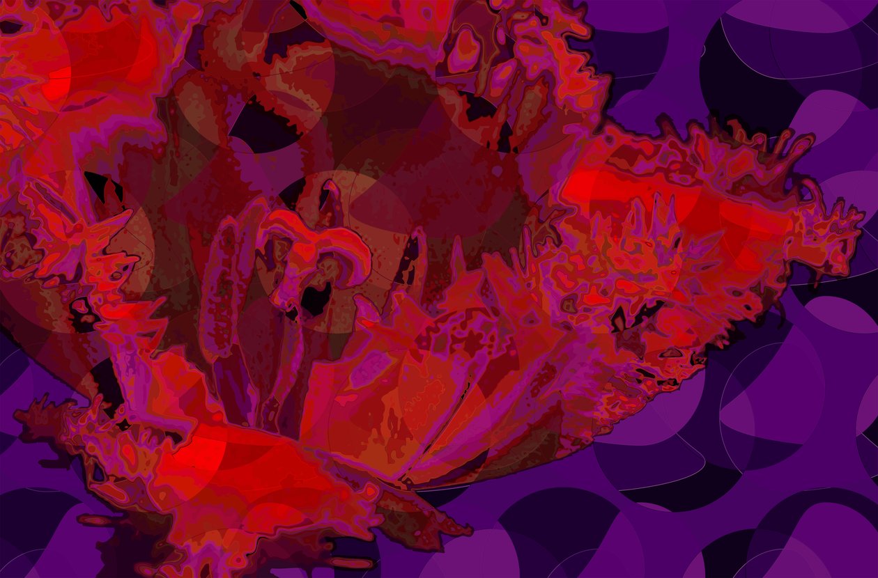 Red Tulip (رقمي) بواسطة سكوت ج.ديفيس