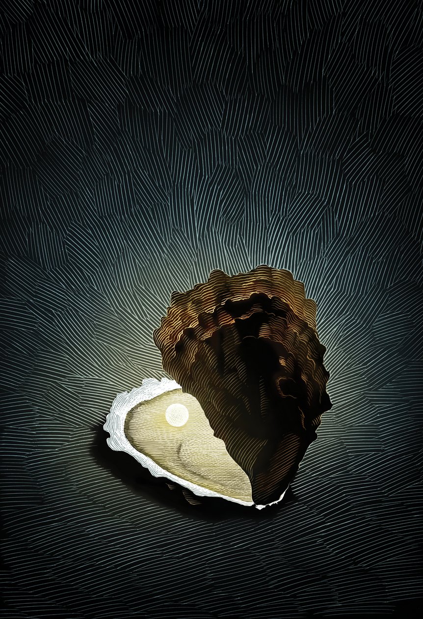  بواسطة 