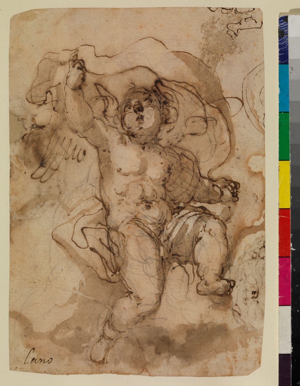 Putto on a cloud (وجه الوجه) بواسطة سيباستيان (Attr.to) Munoz