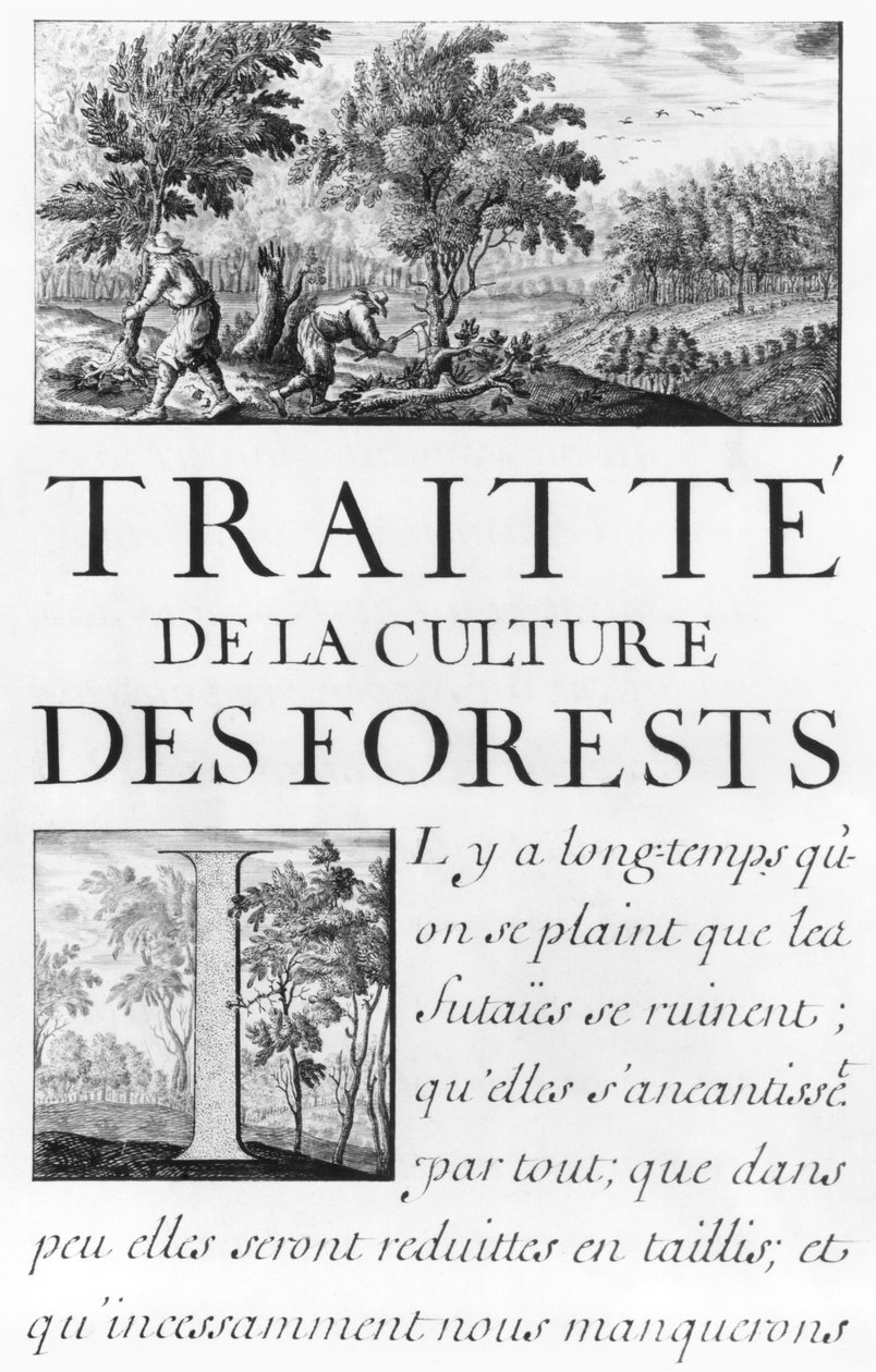 السيدة 260 tome IV Frontispiece من "Traite de la culture des Forets" من "Oisivetes من M. Vauban تحتوي على عدة مذكرات أو Ramas بطريقته الخاصة" بواسطة سيباستيان لو بريستري دي فوبان
