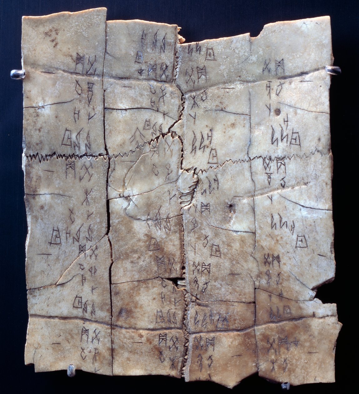 Pictogram on turtle plastron with divination text (turtle plastron) بواسطة اسرة شانغ الصينية