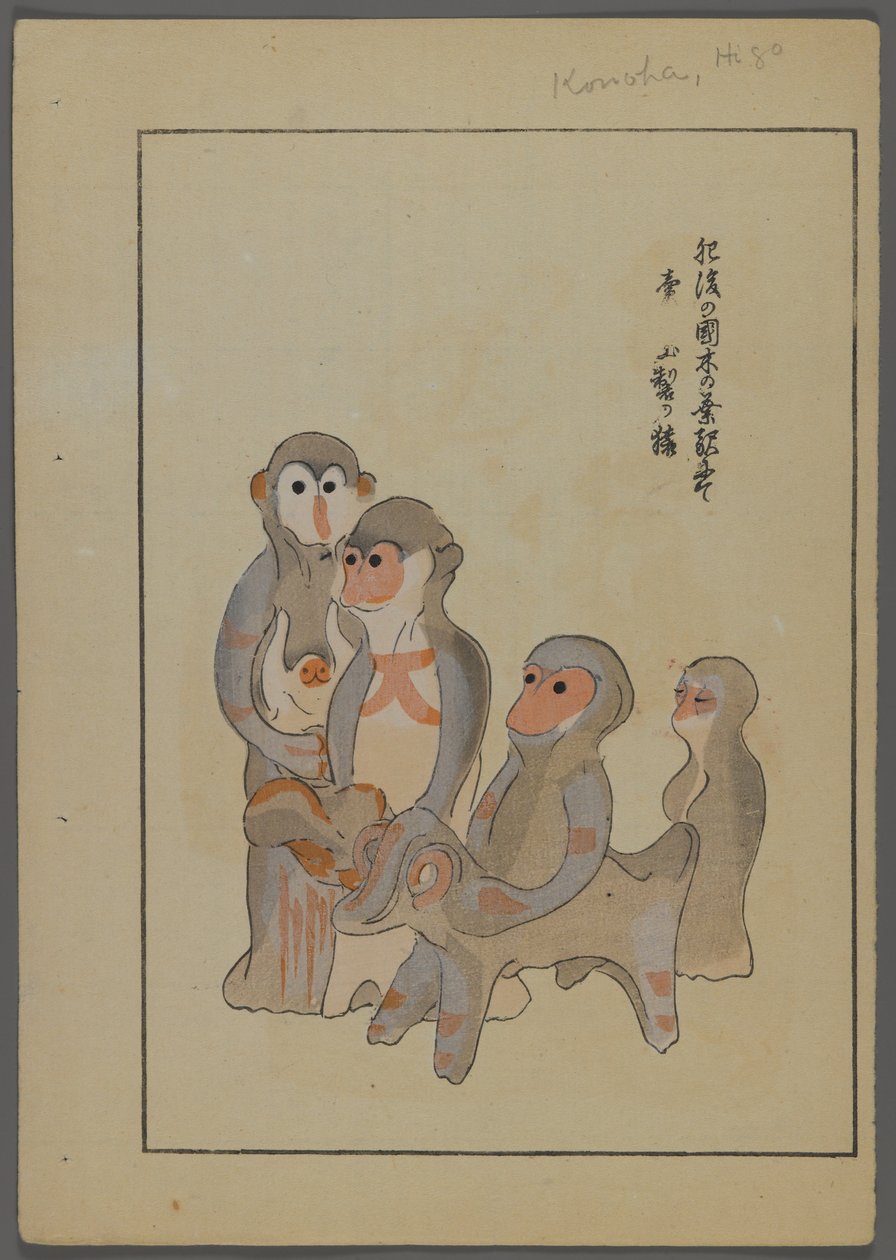 ألعاب يابانية ، من Unai no tomo (A Childs Friends) بقلم شيميزو سيفو ، 1891-1923. القرود ، الثور. بواسطة شيميزو سيفو