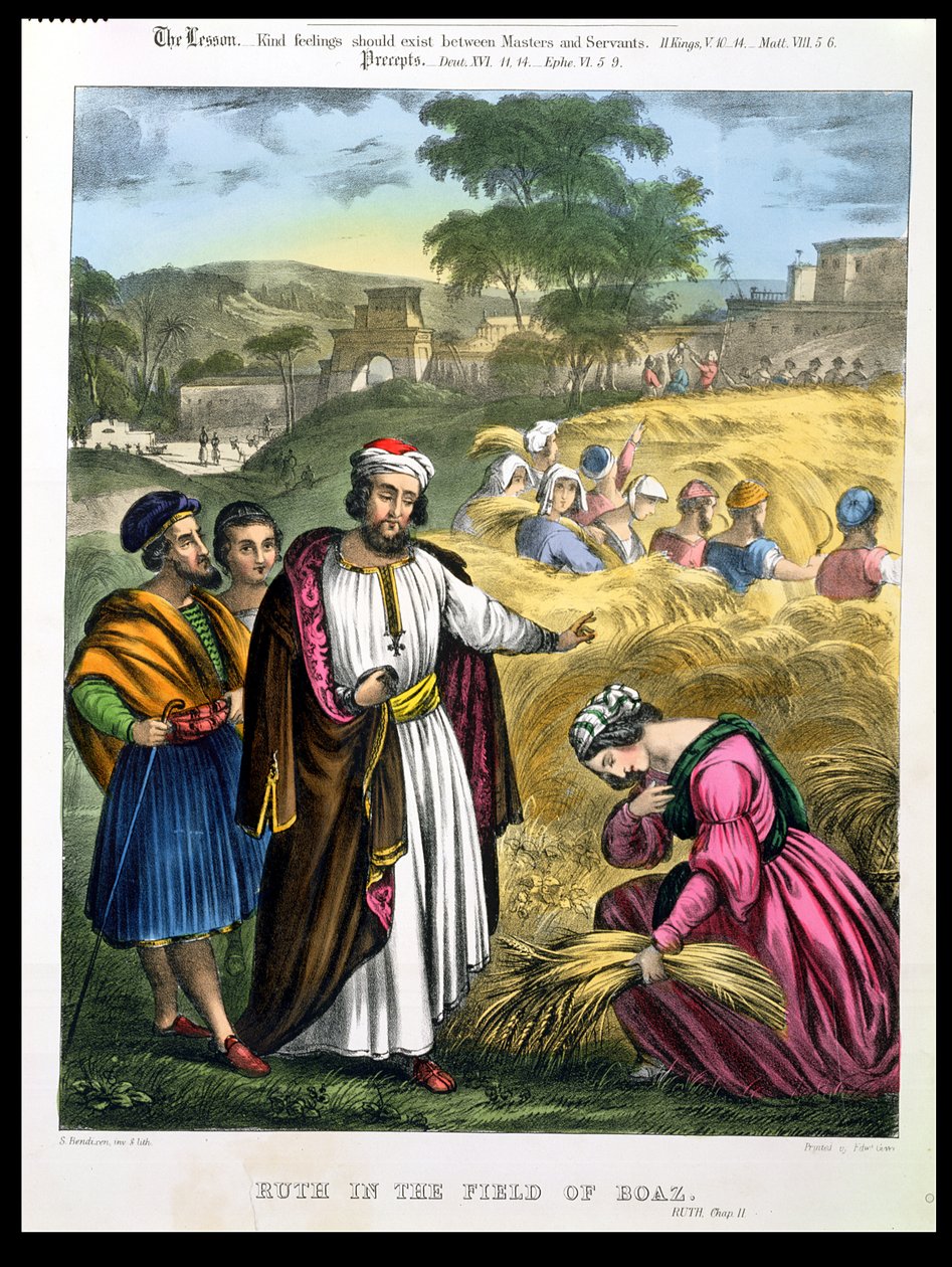 روث في حقل بوعز ، من إنجيل طبعه إدوارد جوفر ، 1870 بواسطة سيغفريد ديتلر بنديكسن
