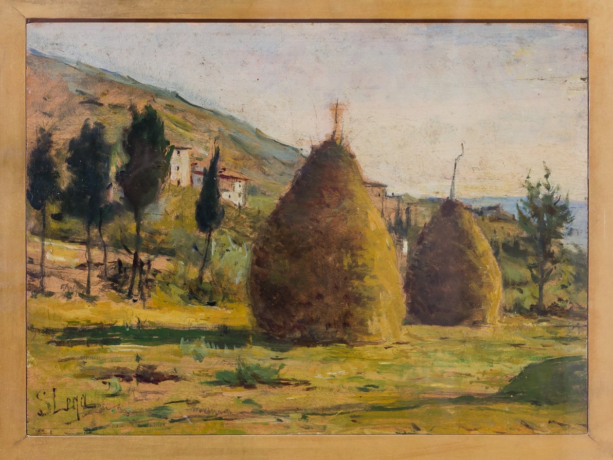 أكوام القش في الشمس ، عام 1890 (زيت على ظهر السفينة) بواسطة سيلفسترو ليجا
