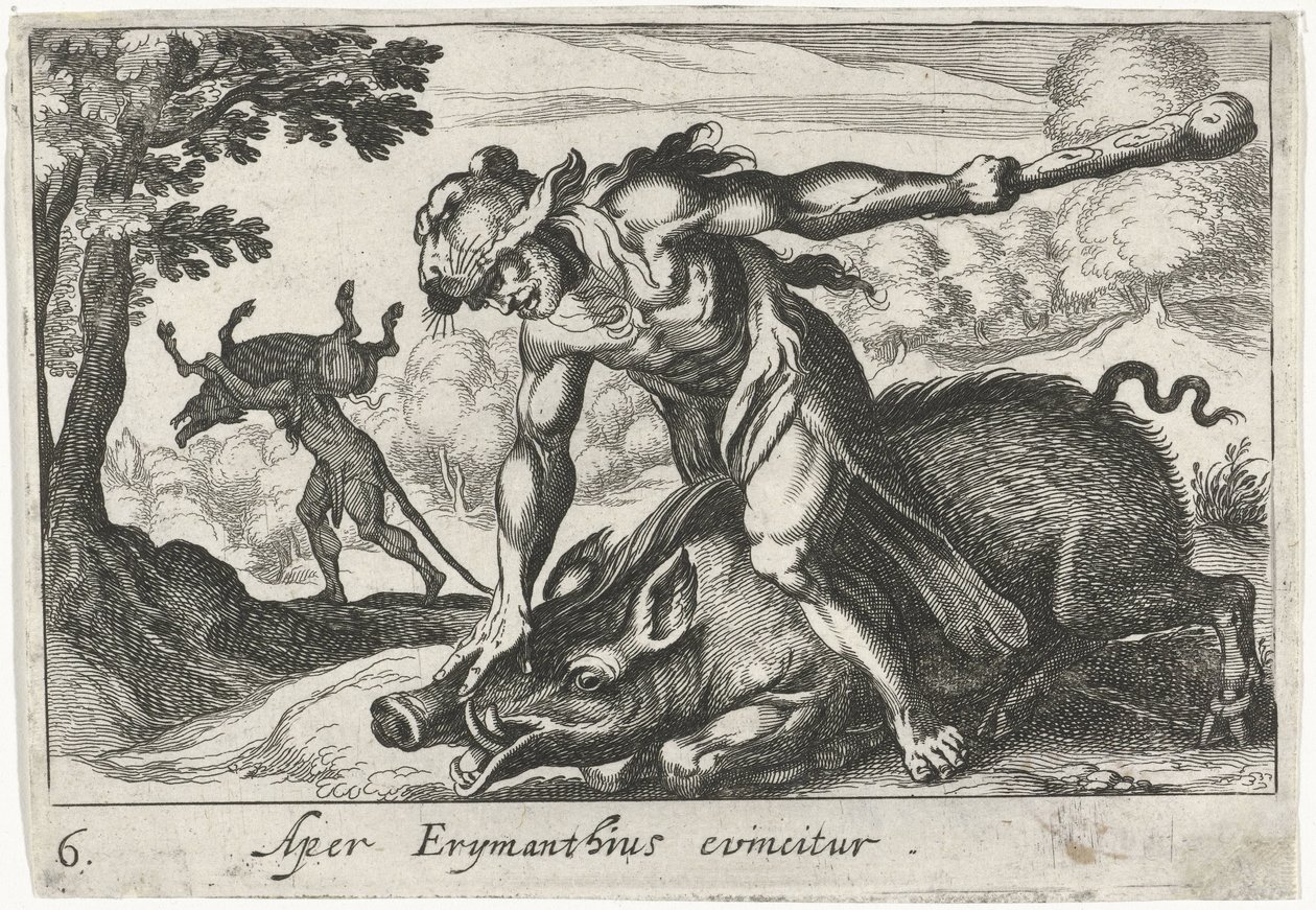 هرقل يلتقط خنزير إريمانثوس Aper Erymanthius evincitur (العنوان على الكائن) ثيمات هرقل (عنوان المسلسل) بواسطة سيمون فريسيوس