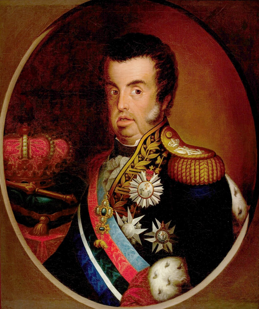 صورة دوم جواو السادس (1767-1826) بواسطة Simplicio Rodrigues de Sa