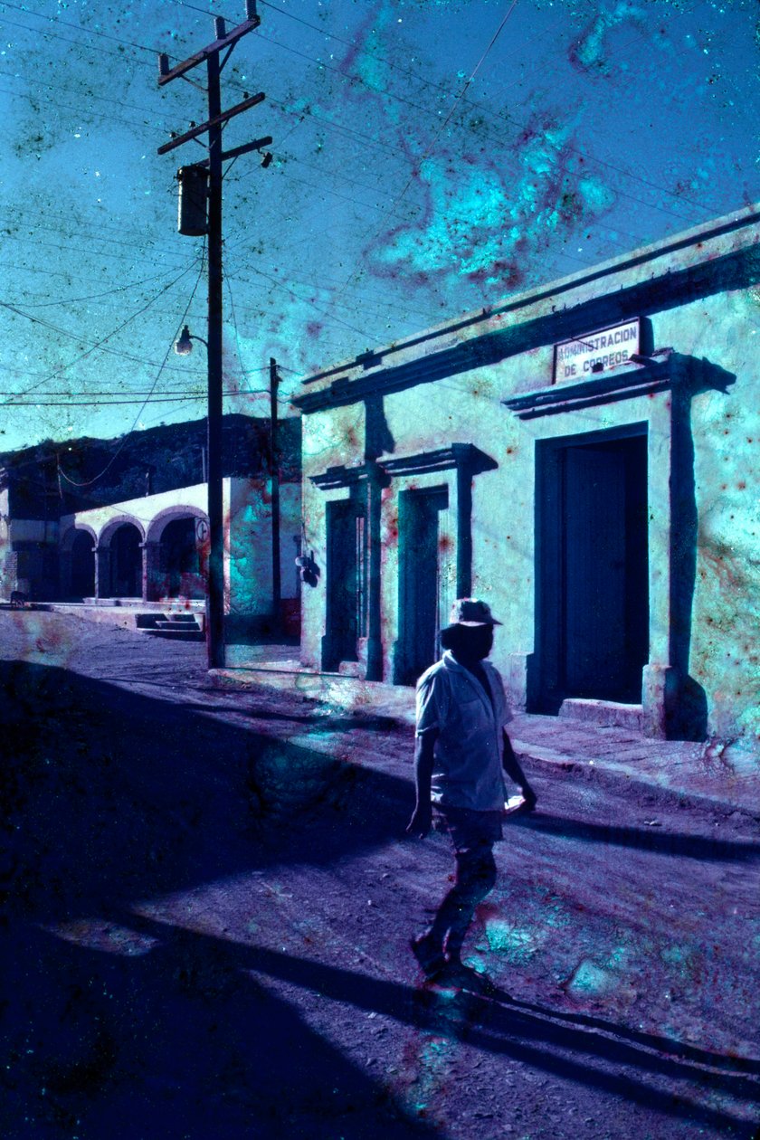  بواسطة سيسي بريمبرج