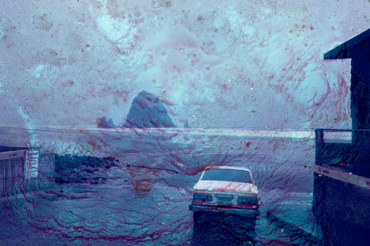 بواسطة سيسي بريمبرج