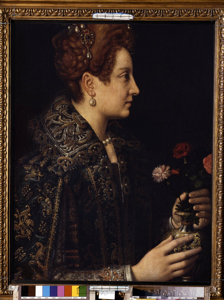 "" صورة لامرأة في بروفايل "(صورة أنثى) رسم بواسطة Sofonisba Anguissola (حوالي 1532-1625) Dim. 68.5x52.5 cm متحف هيرميتاج ، سانت بطرسبرغ بواسطة سوفونيسبا أنجويسولا
