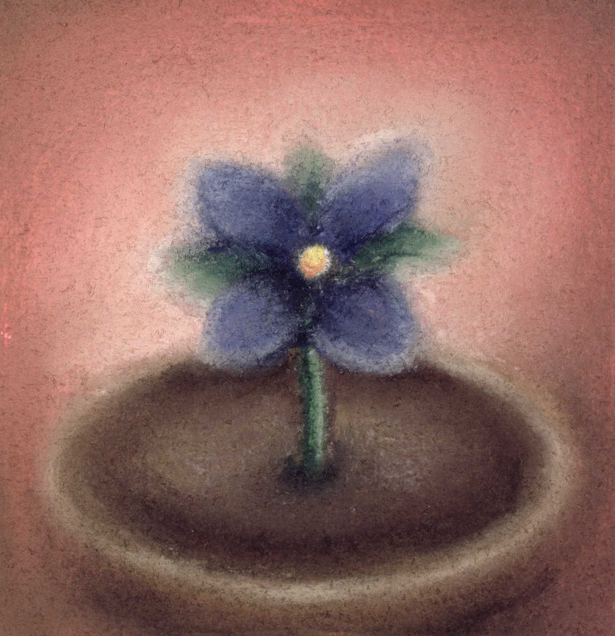  بواسطة صوفي هاكر